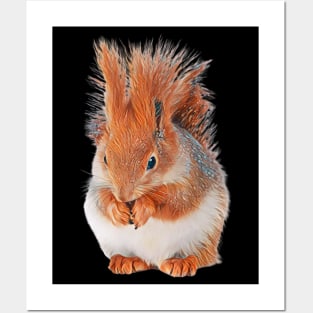 Squirrel - Woodland Themed Kids Room, Funny Gifts For Forester, Cute Animals Posters and Art